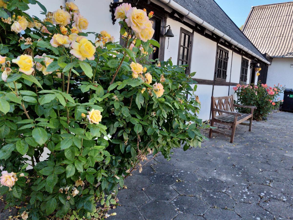 Dastrup Bed & Breakfast Viby Εξωτερικό φωτογραφία